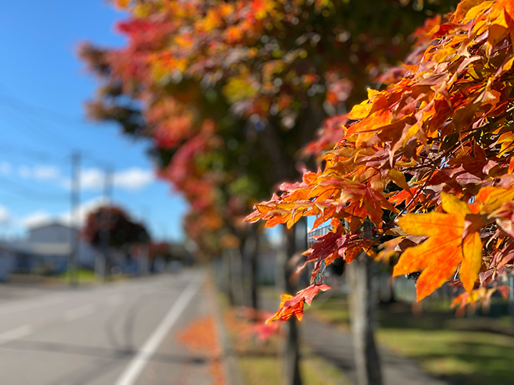 紅葉見学５